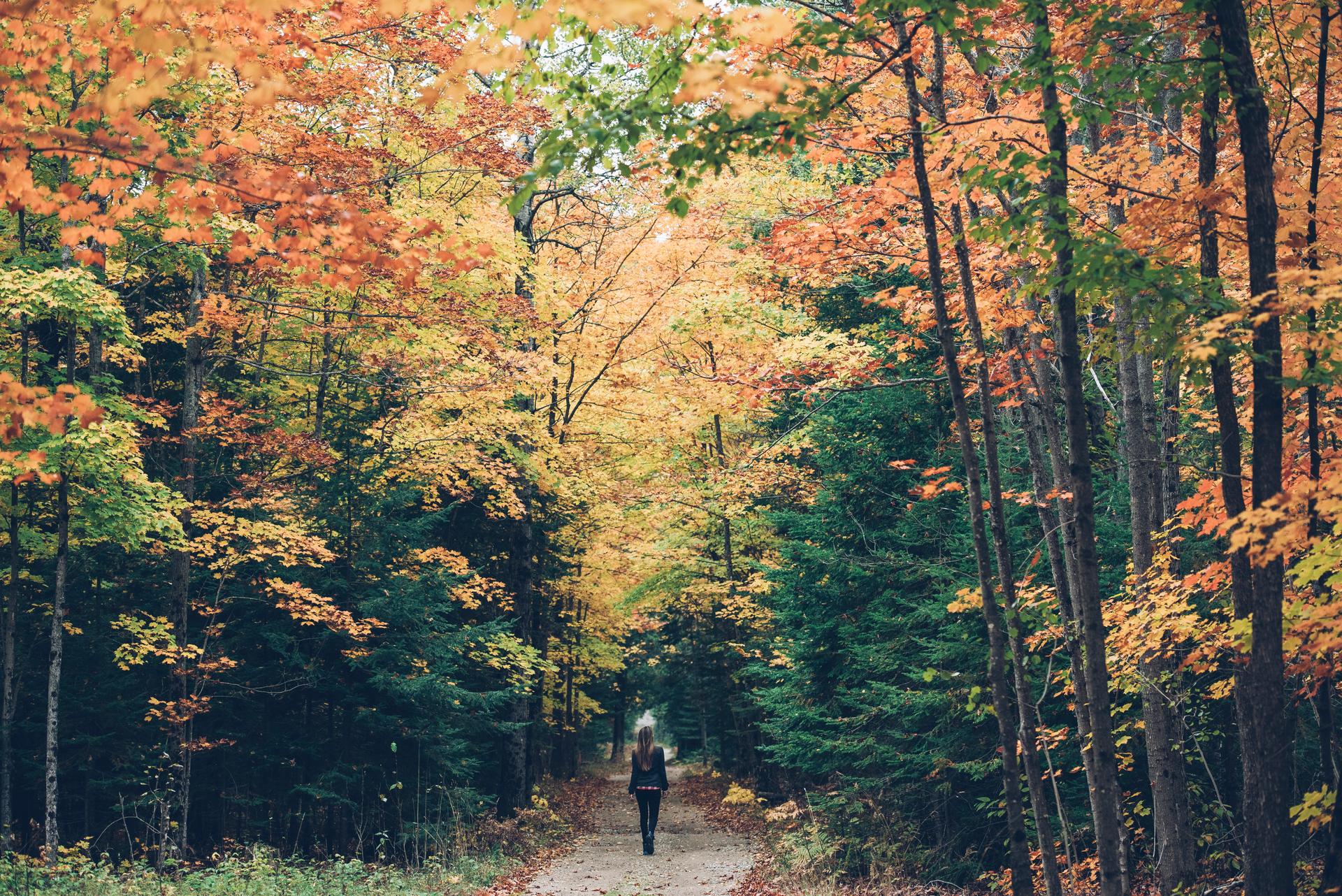 A woman walking down a path through colour-changing autumn trees of green, yellow, orange and red