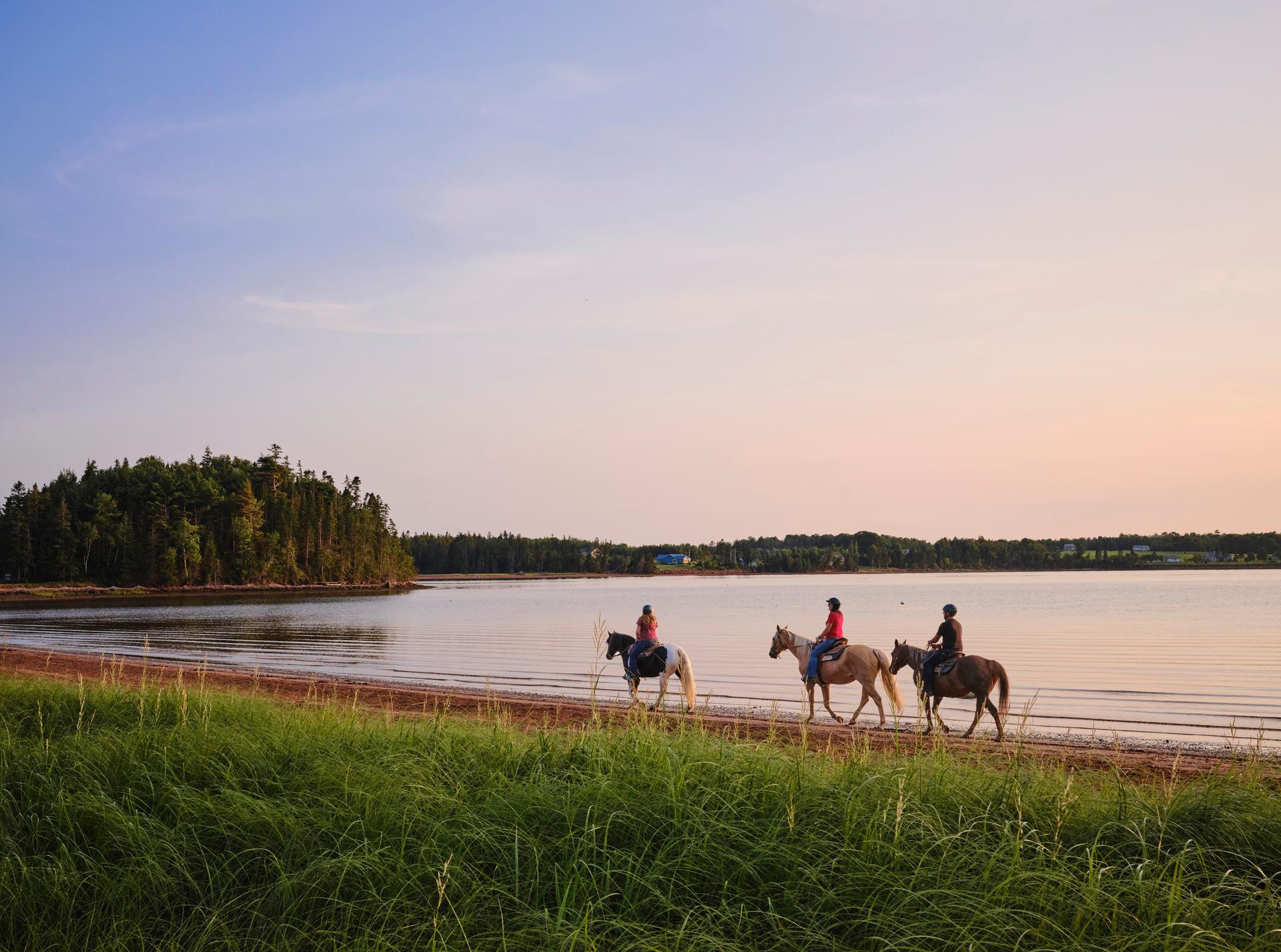 three horse riders walking by a large body of water at sunset