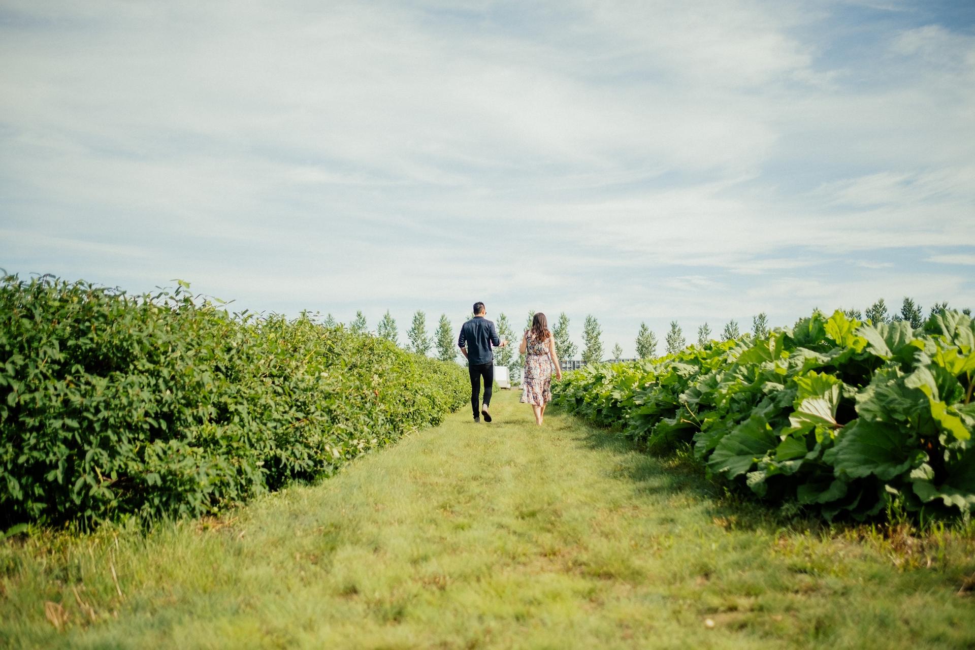field to fork