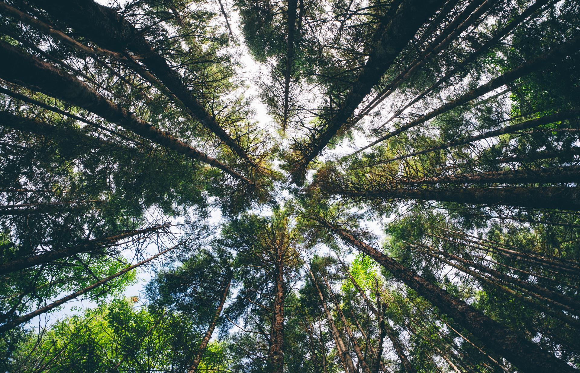Fundy Trail Park