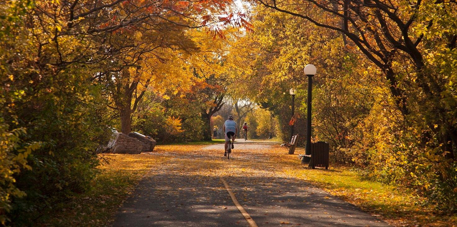 rideau canal pathway cycling with fall foliage