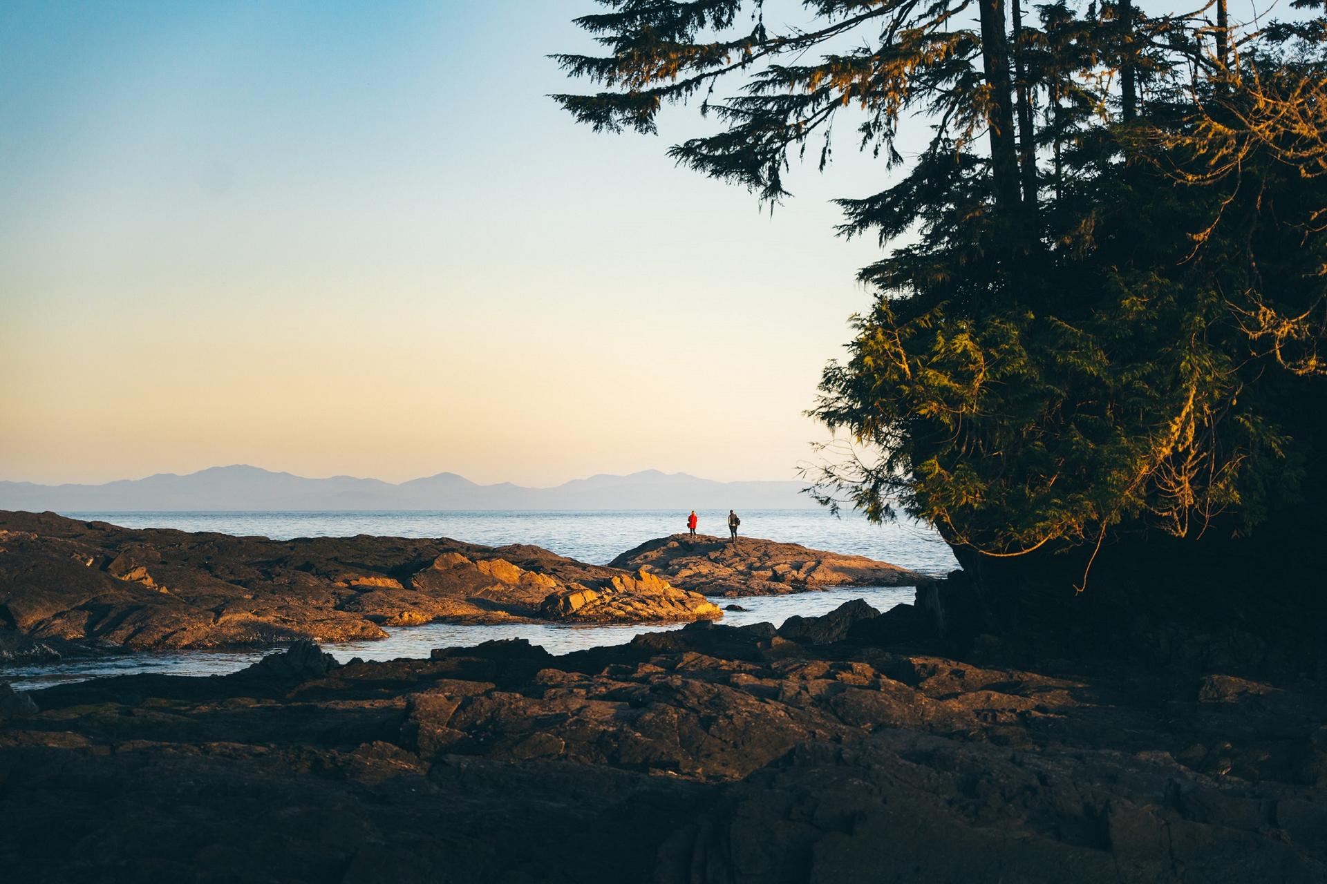 Botanical Beach Provincial Park in BC