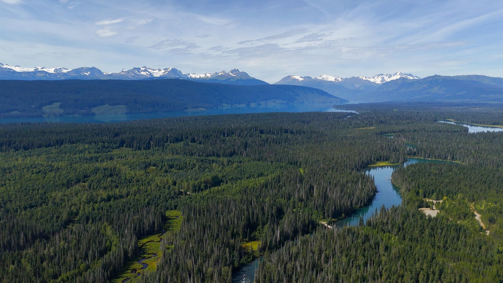Aerial view of winding rivers through a vast forest with snow-capped mountains in the distance