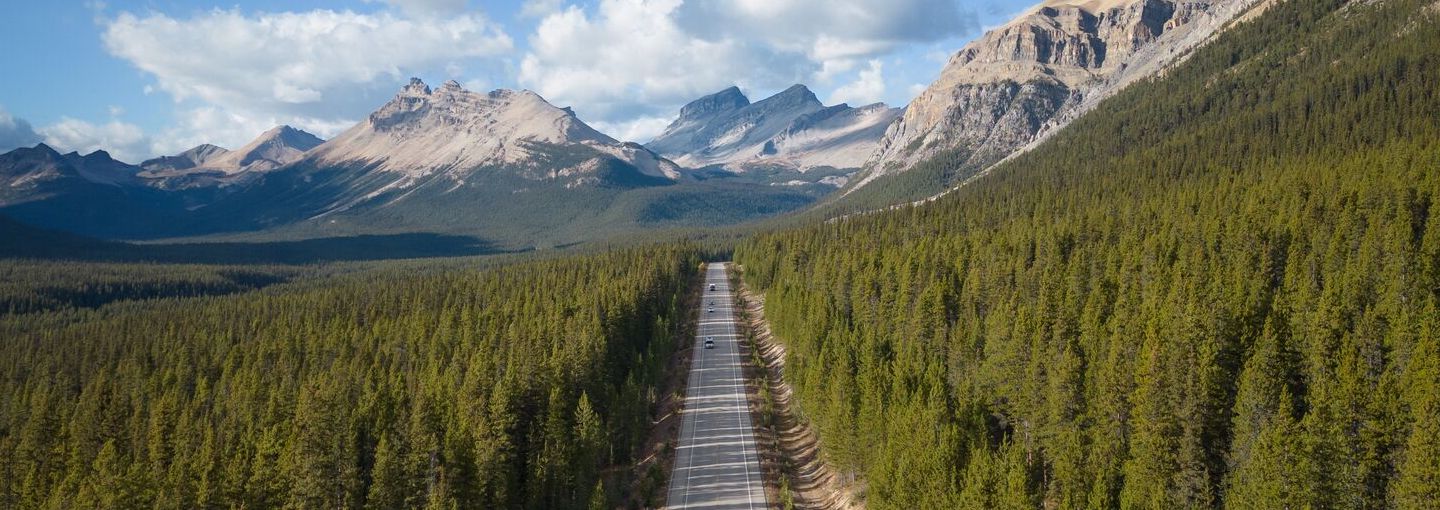 Evergreen forest with a road running through it and rocky mountains in the background