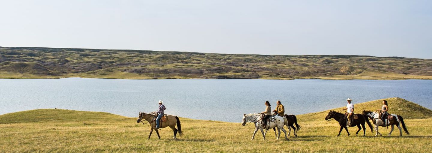 Group of people riding horseback on a grassy plain