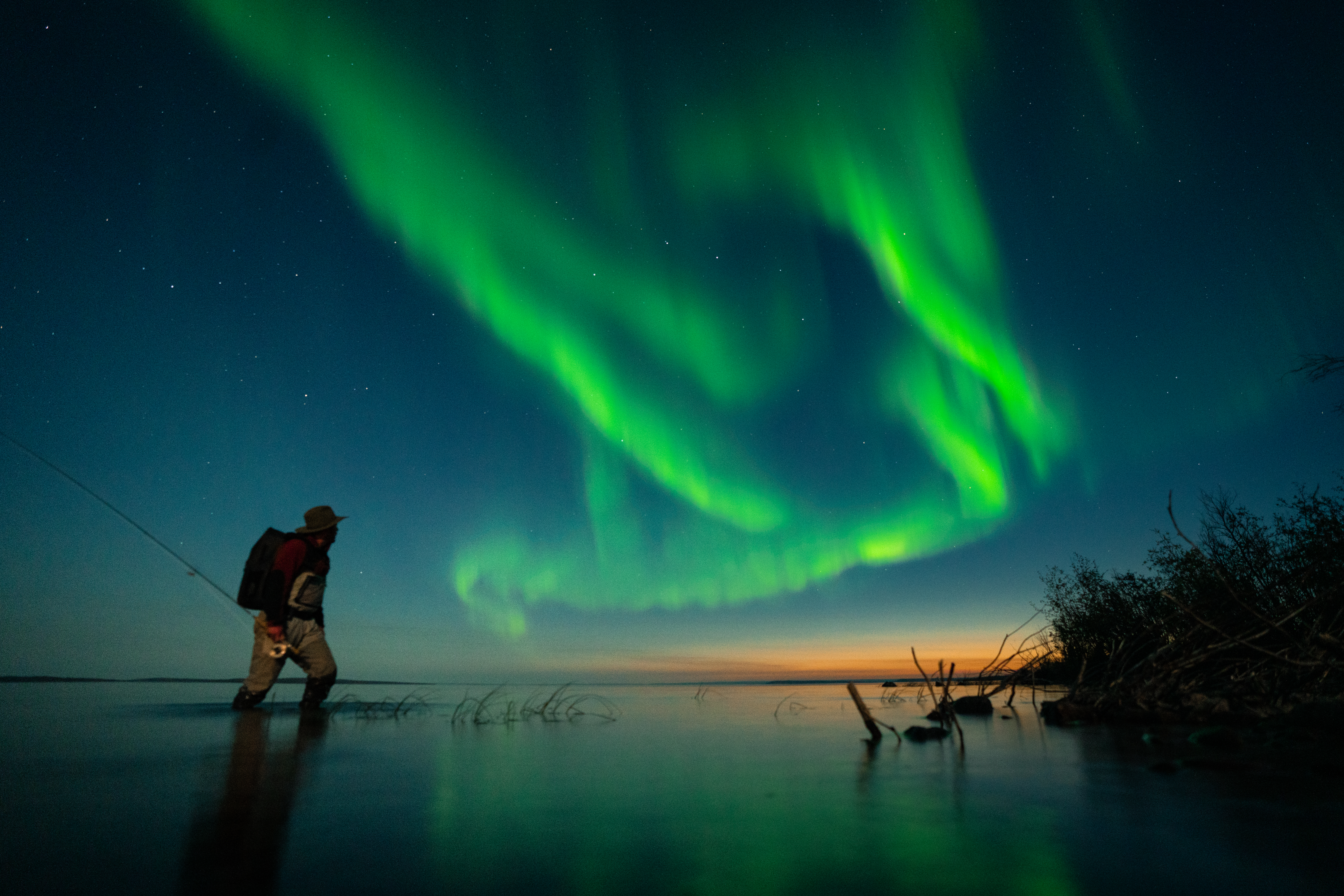 A silhouette of a fisher, standing in knee-high water and looking at the northern lights at night. 