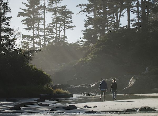 Two people walking in a forest