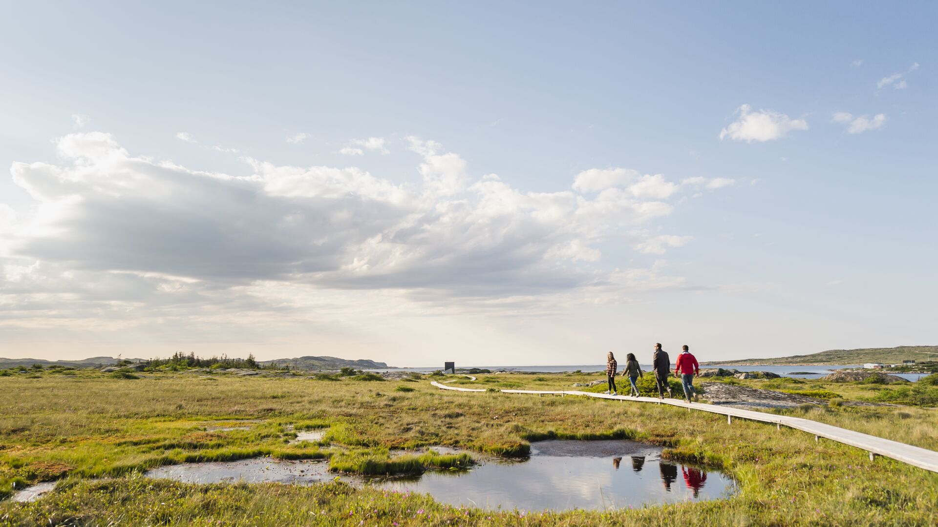 Four people walking along a beach boardwalk that runs next to a marsh