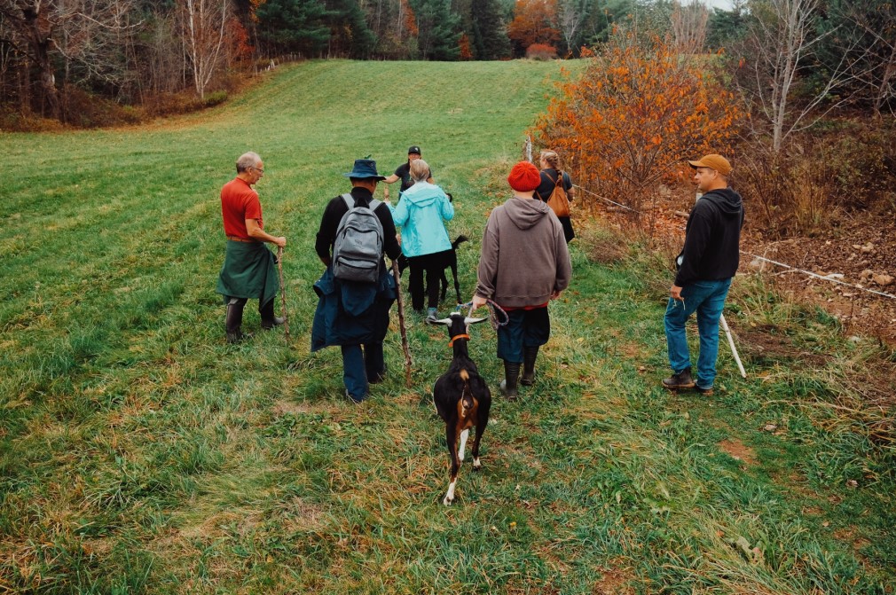 « FOODARTNATURE » DANS LA VALLÉE DE L’ANNAPOLIS (NOUVELLE-ÉCOSSE)