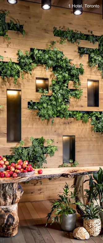 A living wall at 1 Hotel, Toronto
