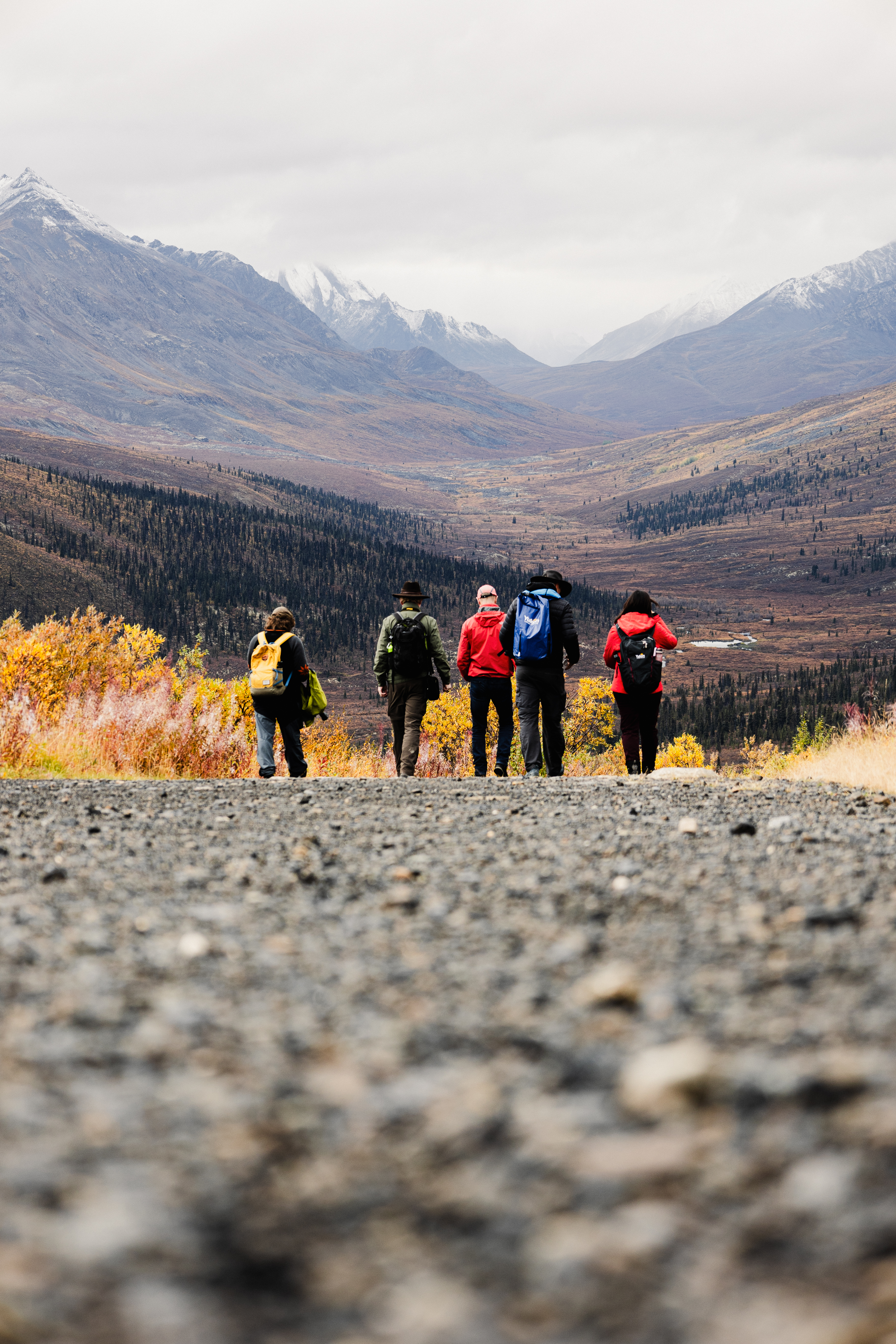 A group of people hiking through a valley in the Yukon.