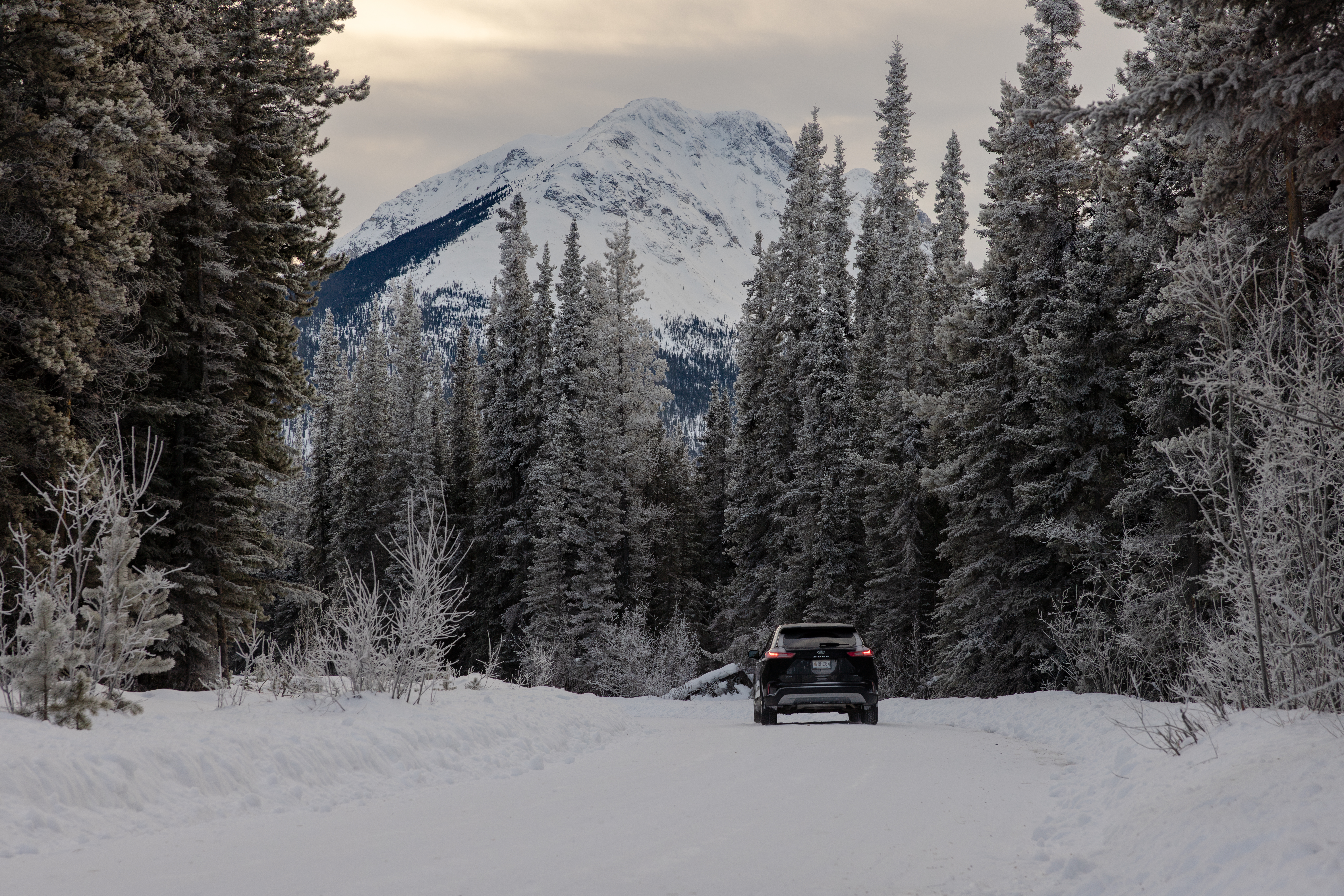 A car driving on a snow-covered road through the woods in Whitehorse, Yukon.