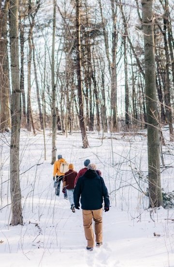 A group walking along a snow filled forest