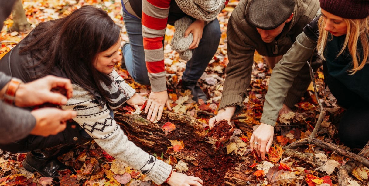 A group of people touching autumn leaves covered ground and logs