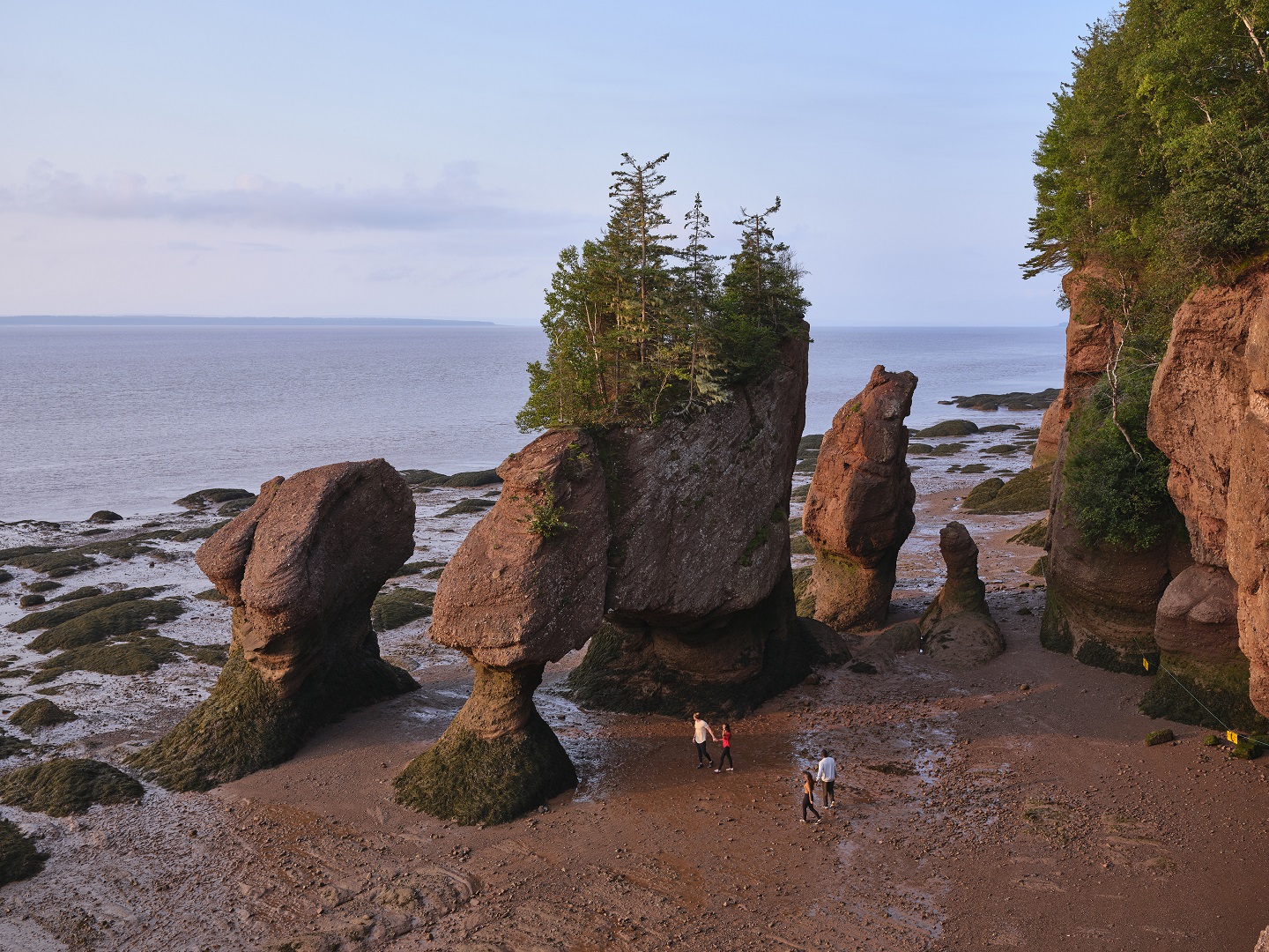 Four people, photographed from far away, walk along the Bay of Fundy at low tide. 