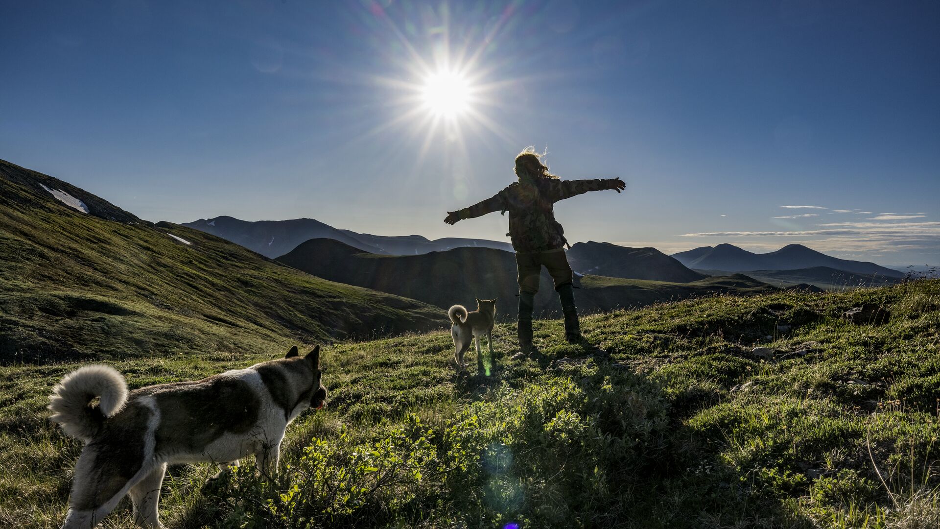 Two dogs and a person standing with arms outstretched on a sunlit grassy mountain top in the Yukon.