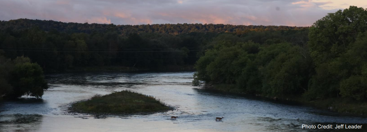 A photo shows a river flowing through a forested landscape at dusk with two deer wading in the water, credited to Jeff Leader.