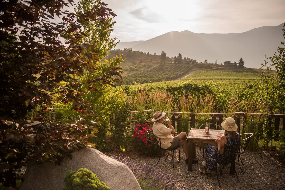 A couple sits at a table in the foreground tasting wine, while they look at a sunset over a mountain range and a vineyard.