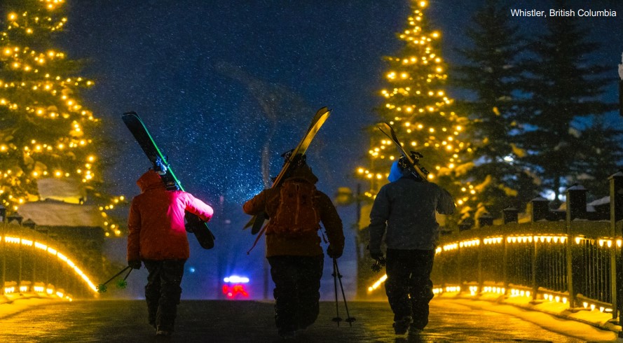 Three people holding skis walking towards the night sky and brightly lit trees