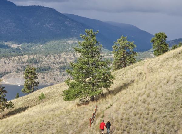 Two people walking along a grassy hillside in the Okanagan Valley